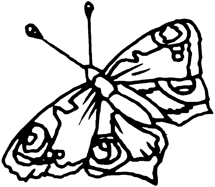 dibujos mariposas imprimir
