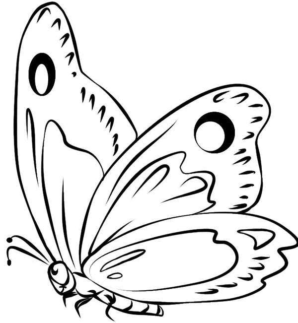 dibujos mariposas para imprimir
