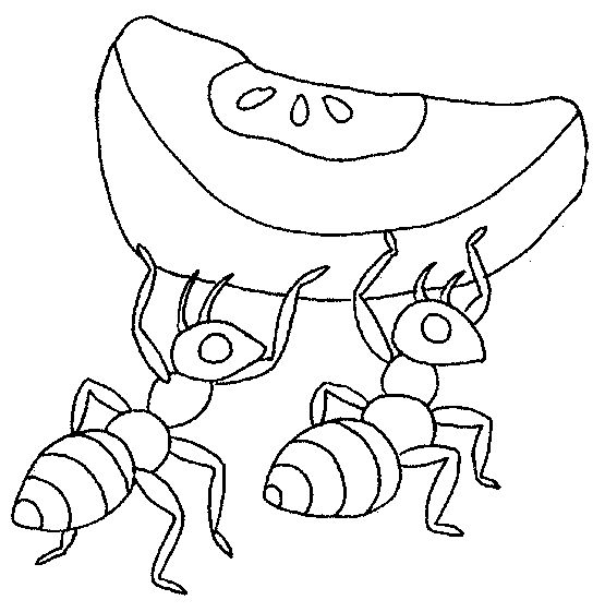 dibujos para colorear de hormigas