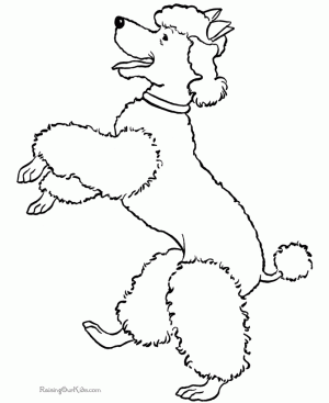 dibujos para colorear perritos