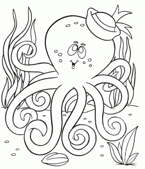 dibujos para colorear pulpo