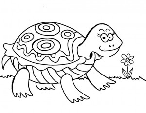 dibujos para colorear tortugas