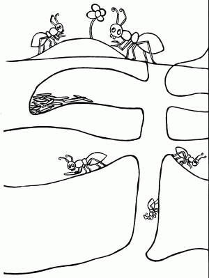dibujos para pintar de hormigas