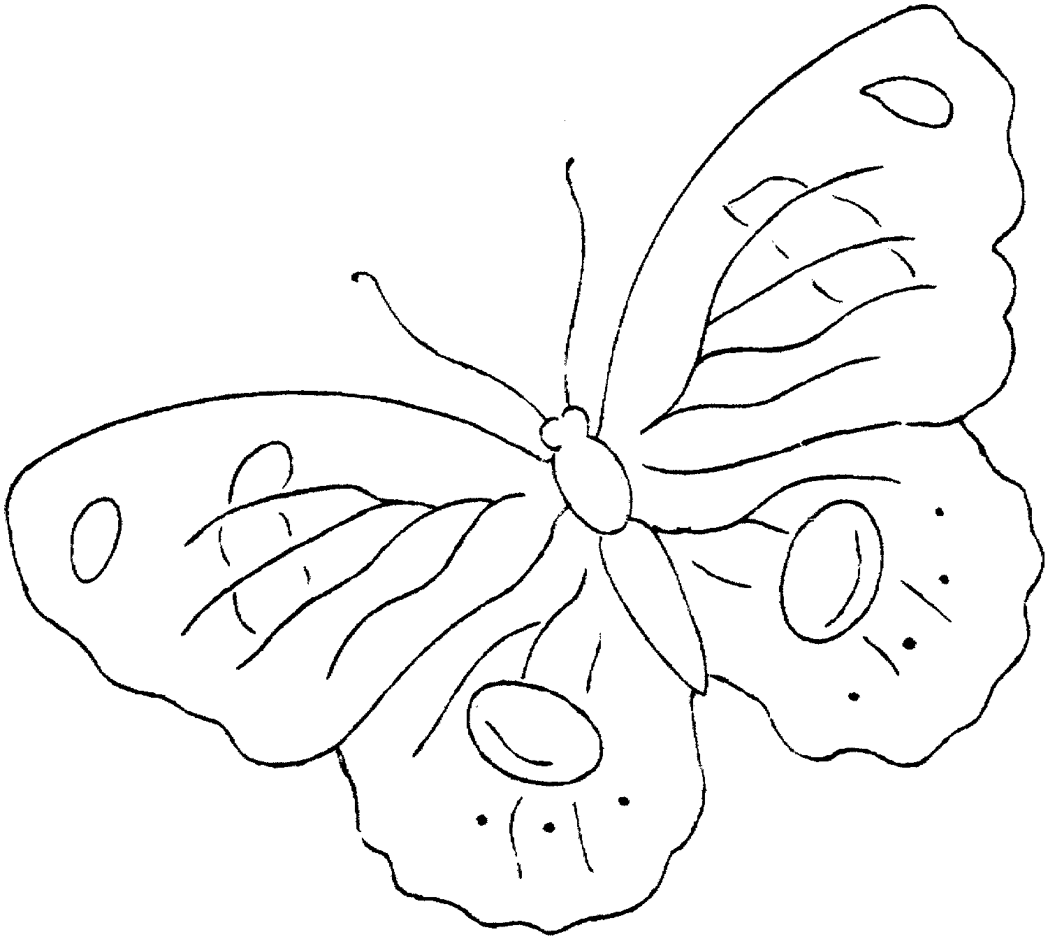diseno de mariposas para pintar
