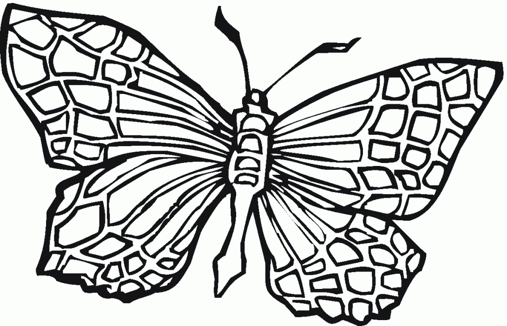 diubjos de mariposa para pintar