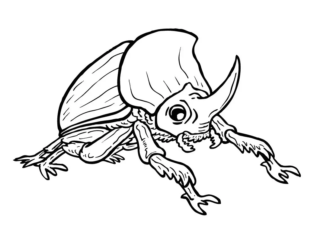 escarabajo para dibujar