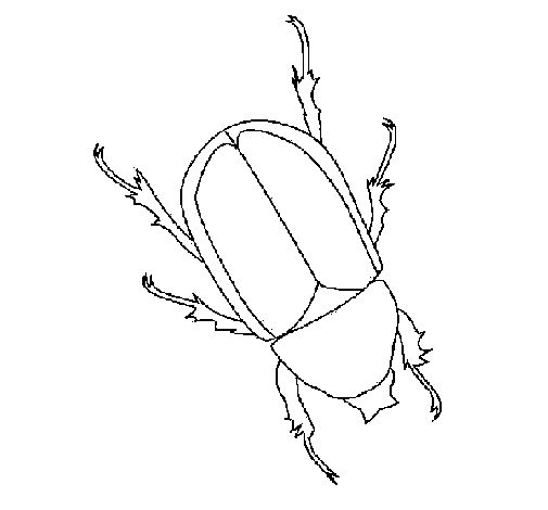 escarabajo para pintar