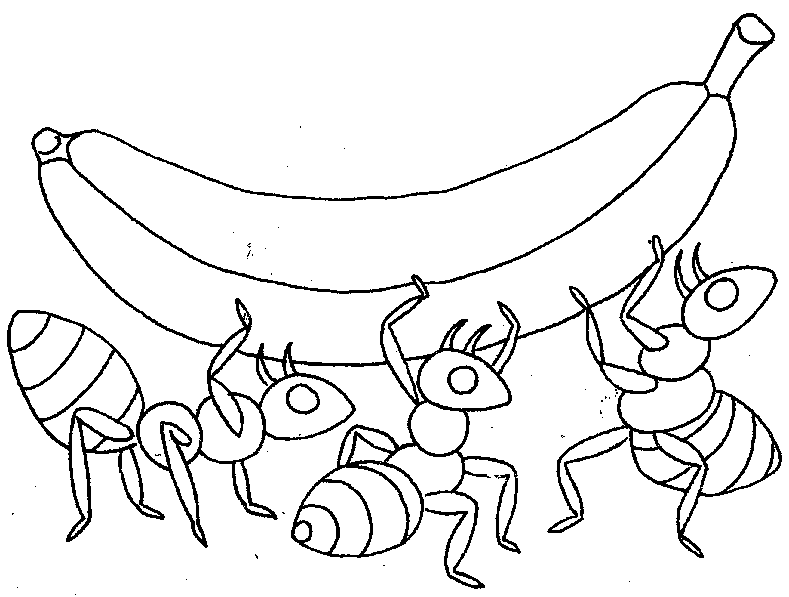 hormiga para dibujar