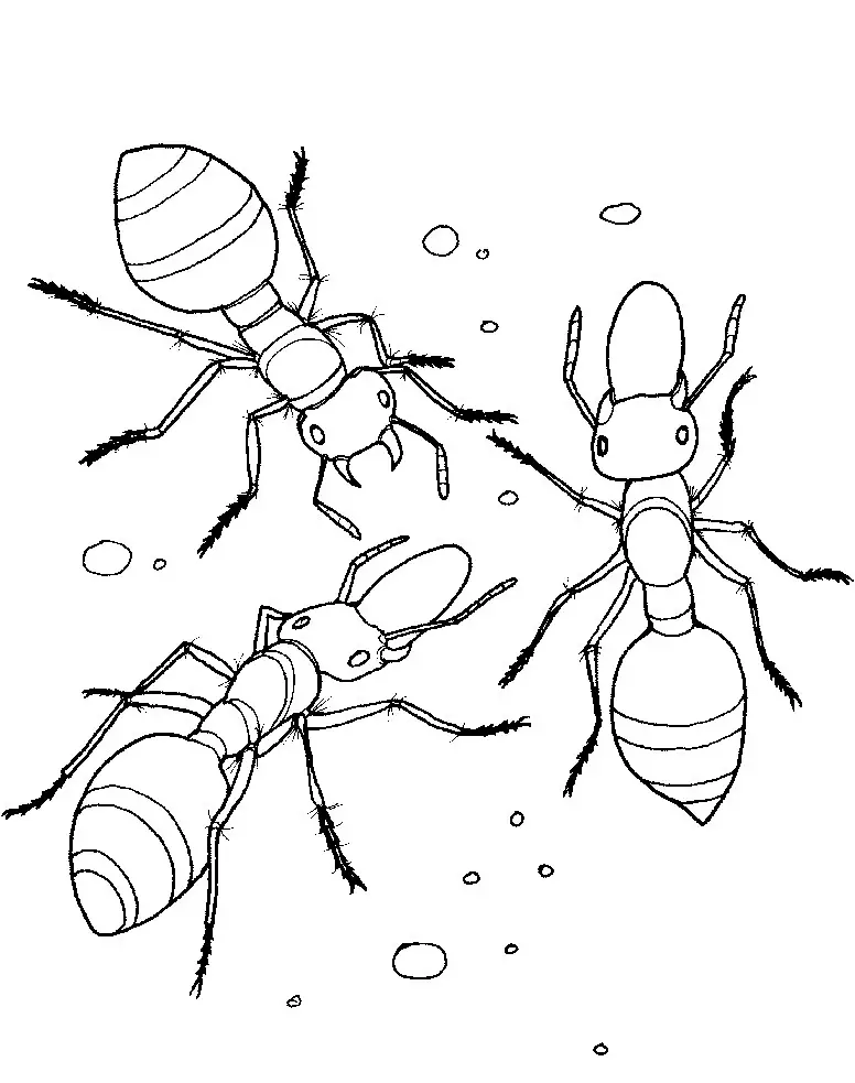 hormigas para dibujar