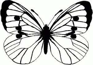 imagen de mariposa para colorear