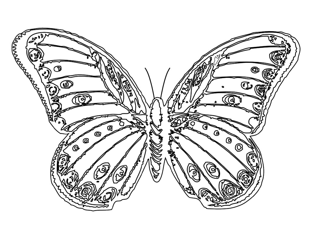 imagen de mariposa para colorear