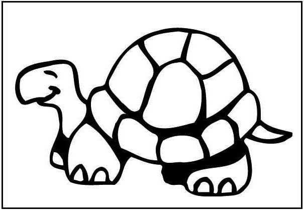 imagen de tortuga para colorear