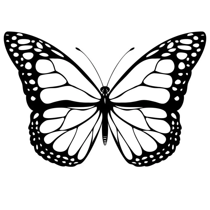 imagenes de mariposas gratis