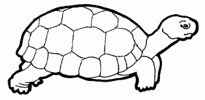 imagenes de tortugas para colorear