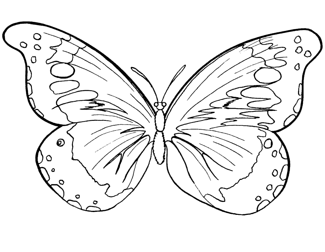 juegos de mariposa para pintar