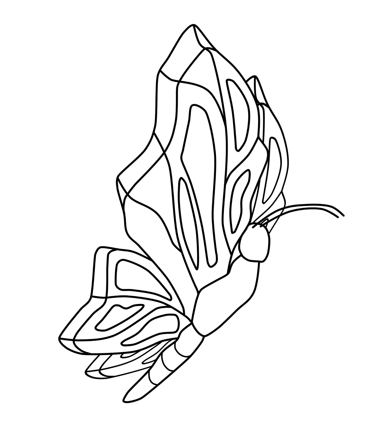 mariposa dibujo para colorear