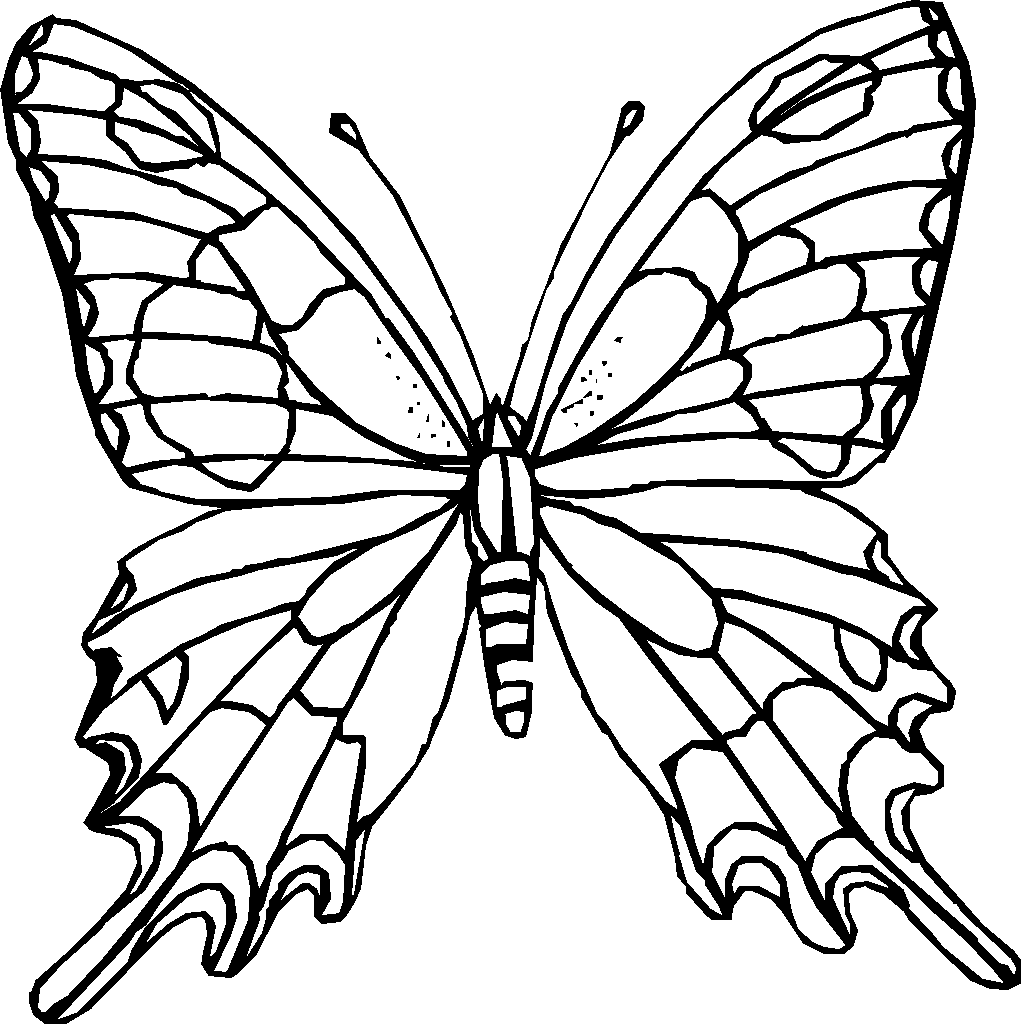 mariposa para colorear