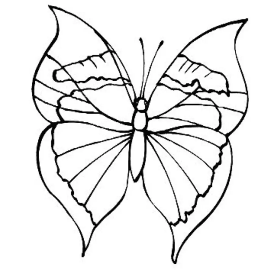 mariposa para imprimir