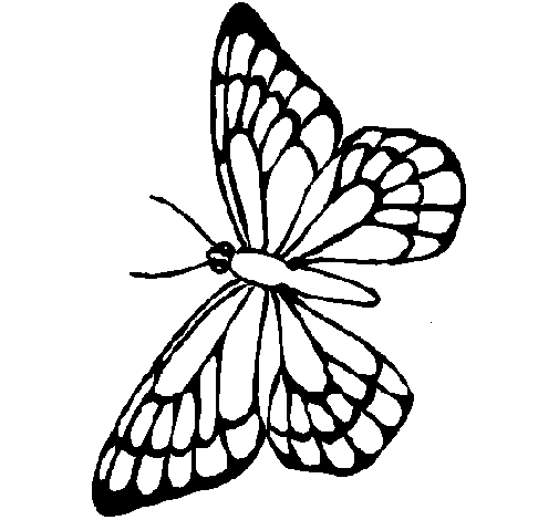 mariposas de colores para imprimir