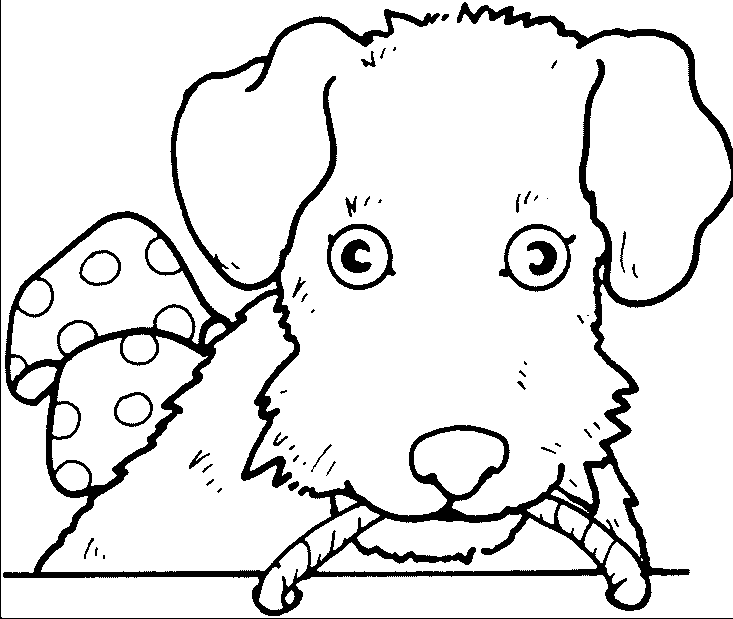 perritos para dibujar