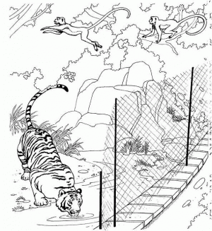 tigre para pintar