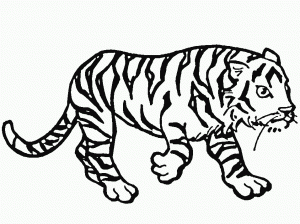 tigres para pintar