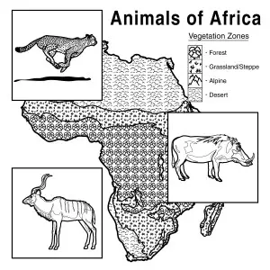 animales de africa para colorear
