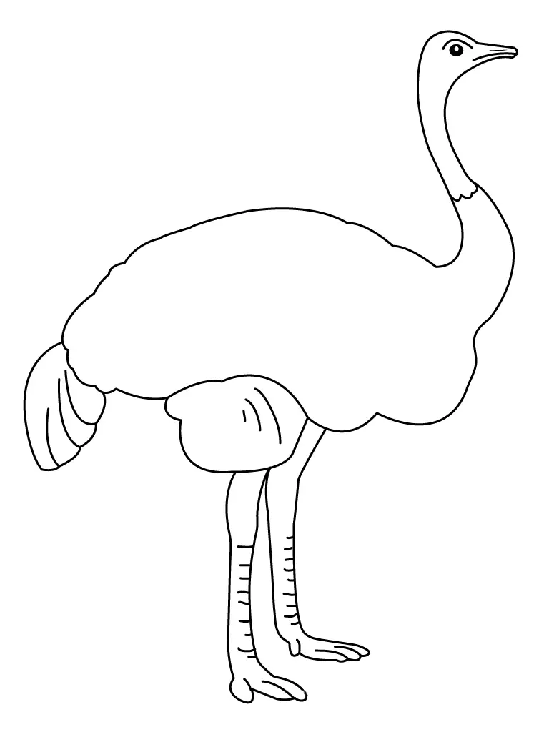 avestruz para colorear