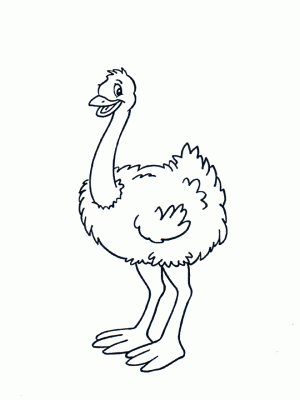 avestruz para pintar