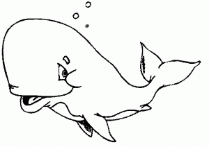 ballenas para pintar