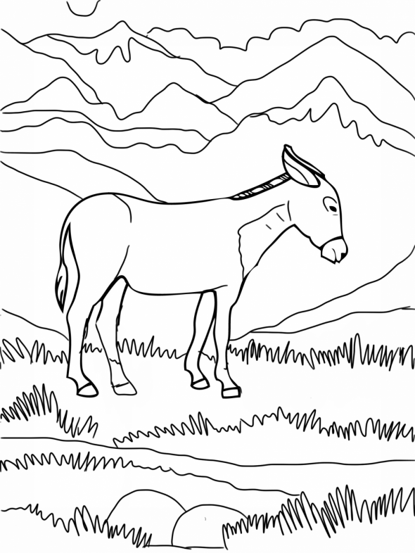 burros para dibujar