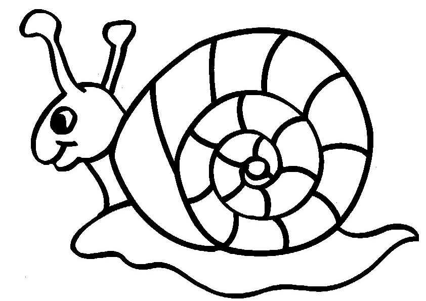 caracol para colorear