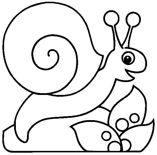 caracol para pintar