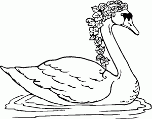 cisne para pintar