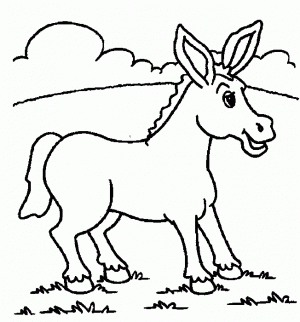 como dibujar un burro