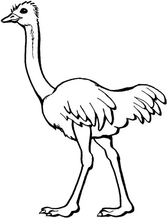 dibujar avestruz