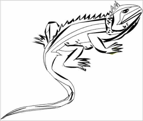 dibujar iguana