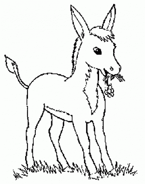 dibujo de burro para colorear