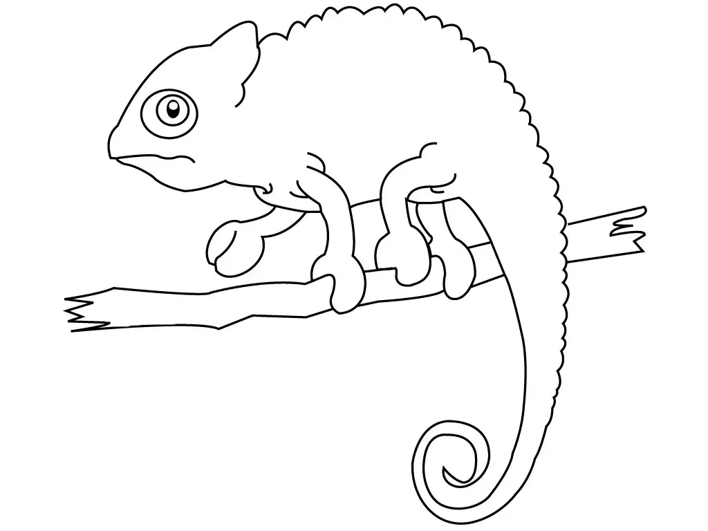dibujo de una iguana para colorear