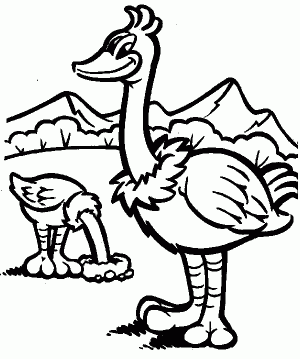 dibujos de avestruz para colorear
