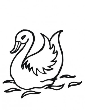 dibujos de cisnes para colorear