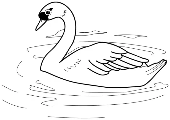 dibujos de cisnes para imprimir