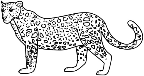 dibujos de leopardos para colorear