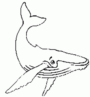 dibujos para colorear de ballenas
