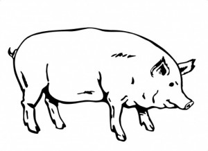 dibujos para colorear de cerdos