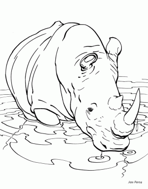 dibujos para colorear de rinocerontes