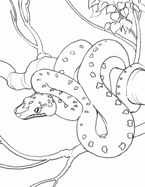 dibujos para colorear de serpientes