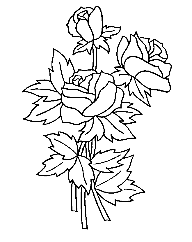 dibujos para colorear rosas