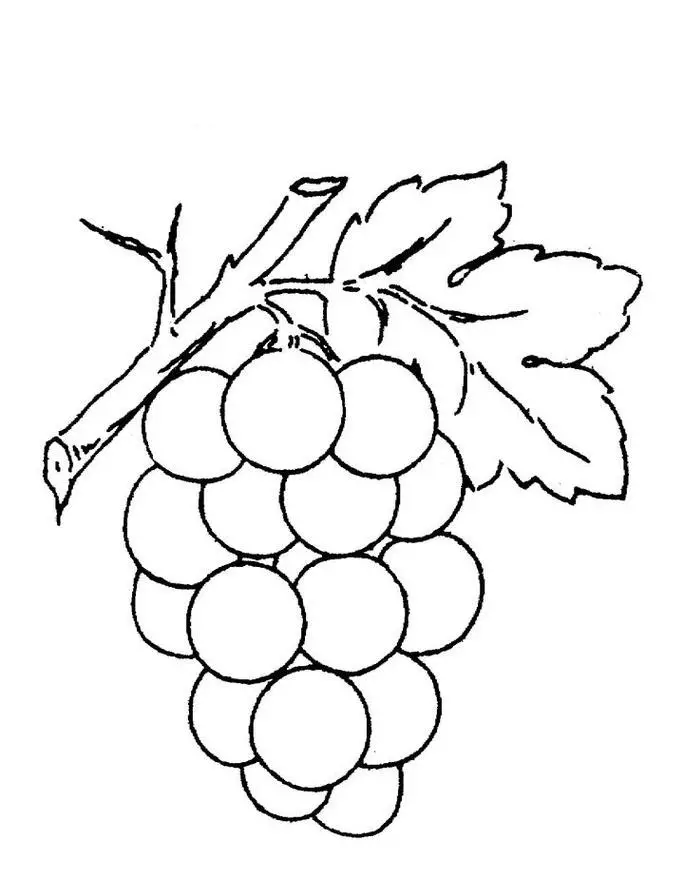dibujos uvas para colorear