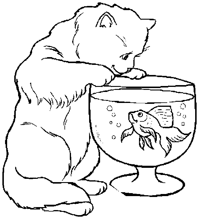 gato y pez para colorear